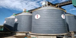 Hard working conditions demonstrate SRON’s execution capacity  ——Construction record of Philippine silo project