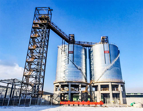 Mongolia 2x7000T Cement Silo Project